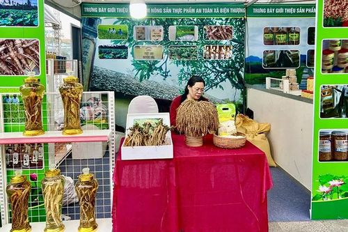 Nâng tầm sản phẩm bằng sở hữu trí tuệ