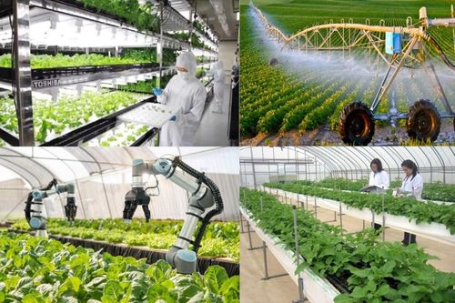 Tăng cường hợp tác giao thương Việt Nam - Trung Quốc trong nông nghiệp