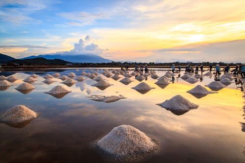 Ngành muối cần một khung pháp lý mới và linh hoạt để phát triển bền vững