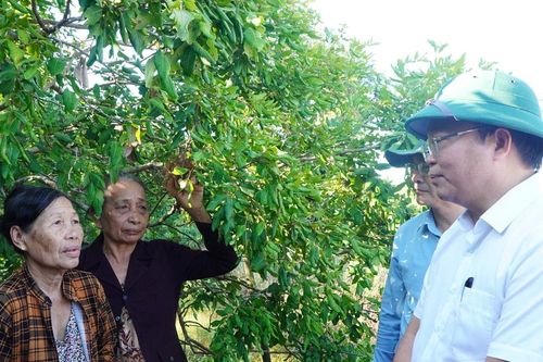 Khẩn trương gỡ vướng các dự án tái định cư tại xã Duy Nghĩa
