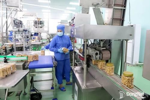 Phát triển ngành điều bền vững