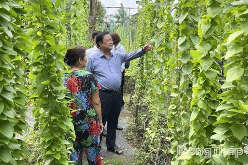Đồng chí Lê Minh Hoan gặp gỡ, chia sẻ với nông dân phường Mỹ Tho