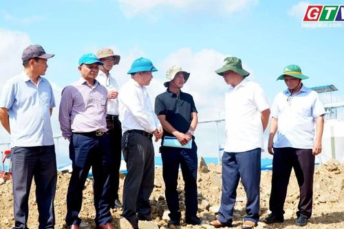 Điểm tin trưa: Đôn đốc khởi công đồng loạt các dự án chăn nuôi heo trong tháng 6