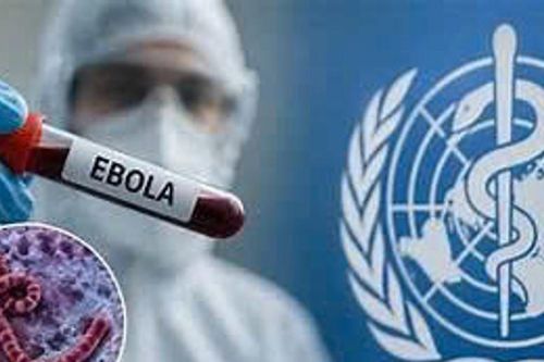 Lâm Đồng tăng cường giám sát, phòng, chống dịch bệnh Ebola