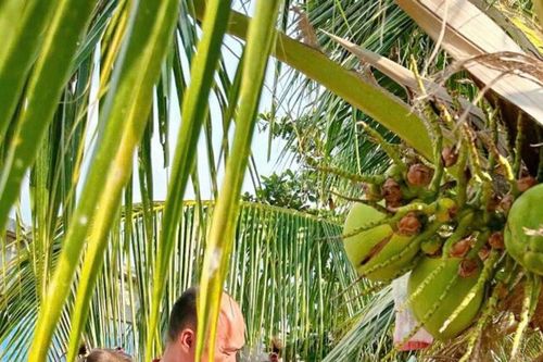 Tiến Luật đưa cặp song sinh Jolie và Jency về thăm vườn tại quê Thu Trang