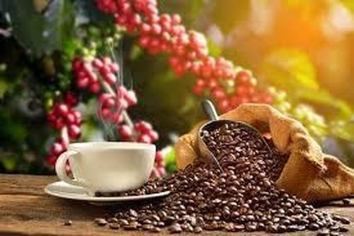 Giá cà phê hôm nay 27/5: Cao nhất 1 tuần do rủi ro thời tiết toàn cầu