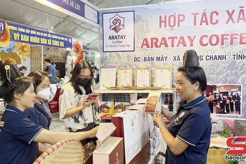 Cà phê Arabica Sơn La phát triển theo chuỗi đa giá trị