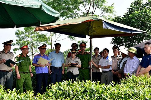 Cưỡng chế chuyển giao quyền sử dụng đất tại phường Mỹ Lâm