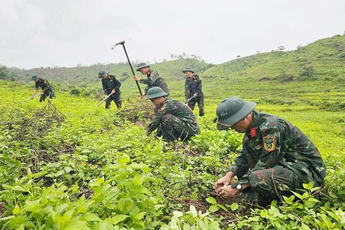 Giữ màu xanh trên thao trường, vùng biên