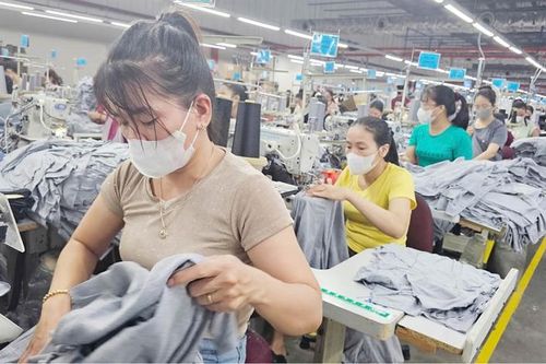 Dệt may Huế thích ứng trước áp lực thị trường xuất khẩu