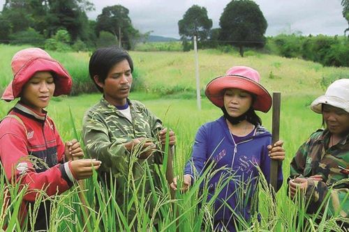 Đề xuất phương án phân bổ vốn thường xuyên cho xây dựng nông thôn mới, giảm nghèo và vùng dân tộc thiểu số