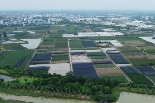 Cơ hội cho doanh nghiệp từ các dự án chậm triển khai