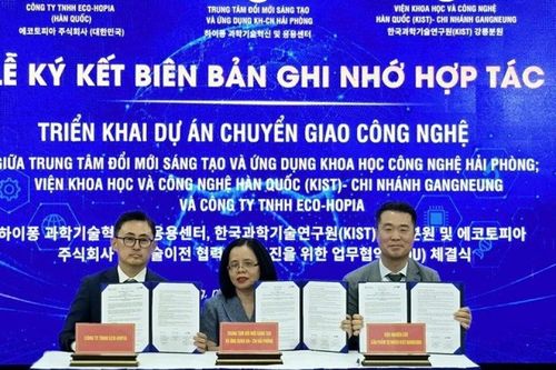 Hải Phòng lọt top 1.000 Hệ sinh thái khởi nghiệp nổi bật toàn cầu