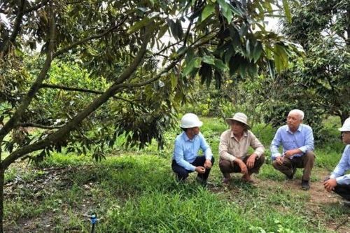 Đẩy mạnh cơ cấu lại ngành nông nghiệp gắn với đổi mới mô hình tăng trưởng