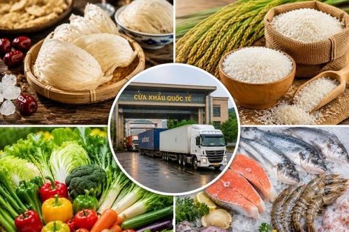 Trung Quốc tăng kiểm soát thực phẩm nhập khẩu, nhiều mặt hàng nông sản bị lưu ý rủi ro