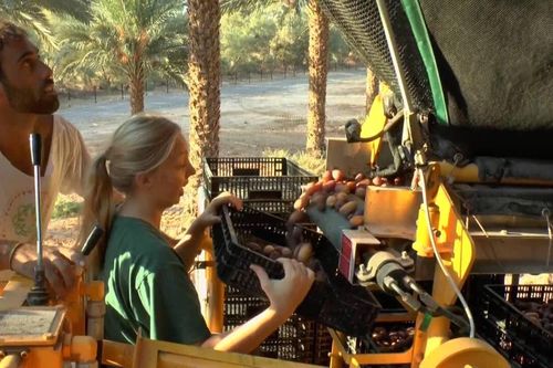 Thí điểm xây dựng xã phường XHCN: Hà Nội học được gì từ mô hình Kibbutz của Israel?