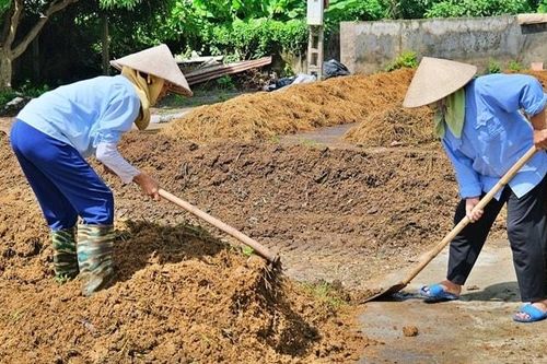 Hà Nội: Nông dân Bất Bạt biến rơm rạ thành phân hữu cơ sau mùa gặt
