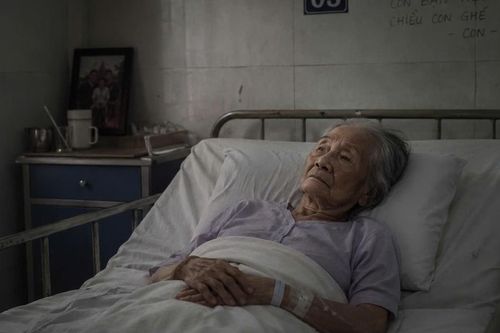 Sau khi chia đất, mẹ chồng nhập viện nhưng 3 con dâu không ai chăm