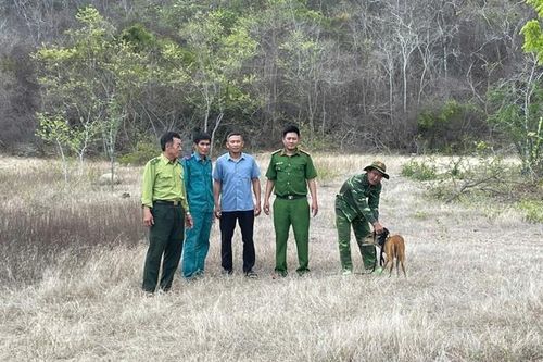 Khánh Hòa thả 2 cá thể động vật nguy cấp, quý, hiếm về rừng tự nhiên