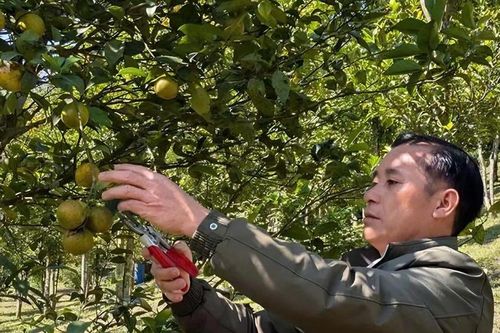 Chuyện thoát nghèo ở xã vùng biên