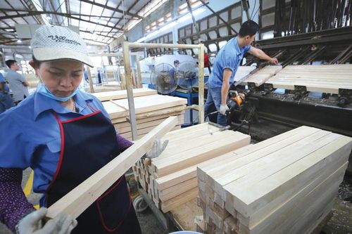 Ngành gỗ: Khai thác tiềm năng cho mục tiêu phát triển xanh