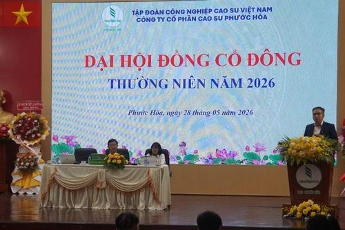 Cao-su Phước Hòa tăng thu mua mủ tiểu điền, ổn định đầu ra cho nông dân