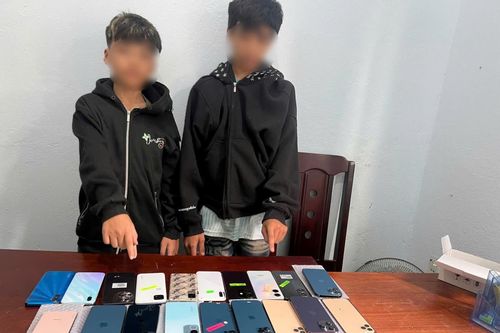 2 'đạo chích nhí' sa lưới
