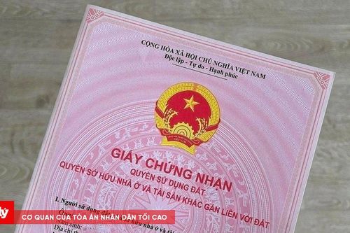 GCN quyền sử dụng đất cấp sai nhưng hết thời hiệu khởi kiện, Tòa án xử lý thế nào?