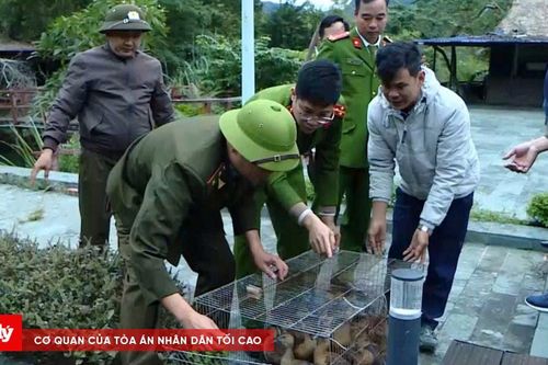 Hải Phòng xử lý hình sự một số vụ vi phạm về bảo vệ động vật hoang dã