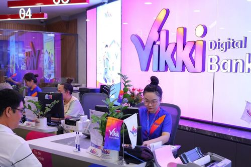 Kết luận thanh tra của Ngân hàng Nhà nước đối với Vikki bank
