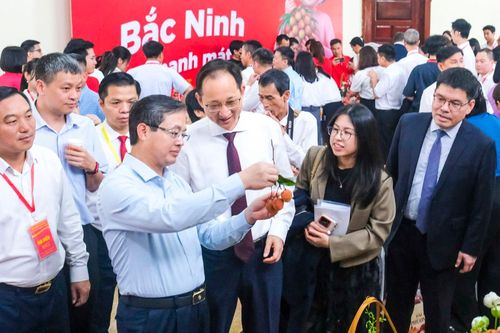 Không chỉ bán theo mùa, Bắc Ninh muốn nâng tầm vải thiều thành nông sản cao cấp