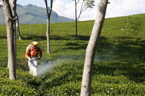 EU thúc đẩy đơn giản hóa quy định về thuốc bảo vệ thực vật và nông nghiệp