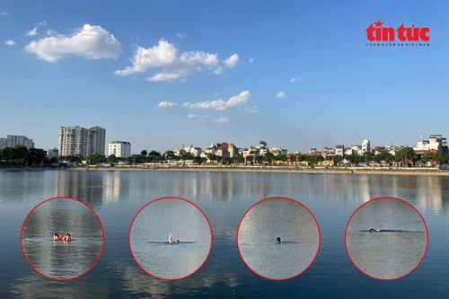 Hiểm họa rình rập tại các điểm bơi lội tự phát