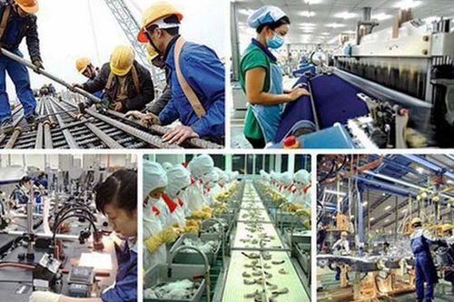 Tập trung xây dựng, ban hành tiêu chuẩn kỹ thuật đối với những ngành, nghề cắt giảm