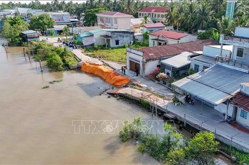 Cần Thơ tìm lời giải căn cơ cho bài toán sạt lở