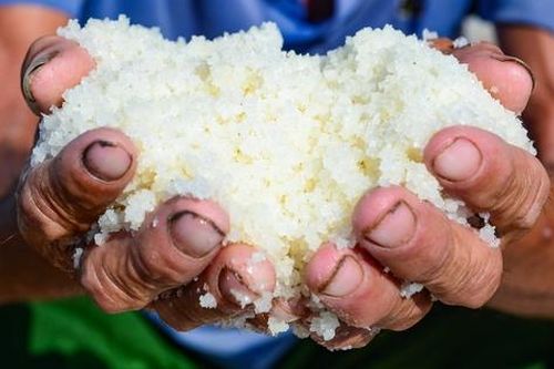 Diêm dân 'rang mình' dưới nắng 40 độ, đổi lấy hơn 200 nghìn đồng mỗi ngày