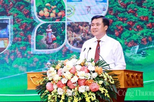 Thứ trưởng Nguyễn Sinh Nhật Tân: Chất lượng là 'giấy thông hành' cho vải thiều Bắc Ninh