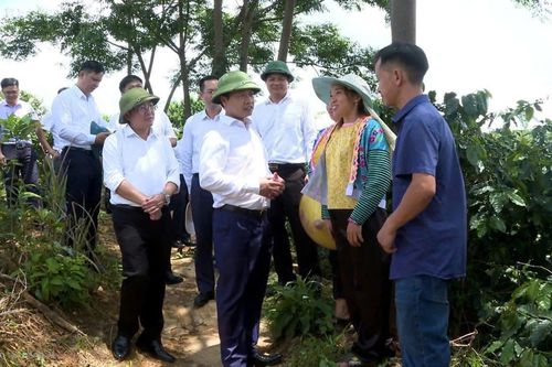 Bài 2: Liên kết phát triển - nền tảng giữ vững niềm tin ở vùng cao