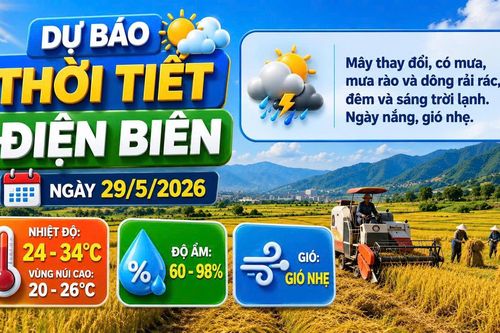 Bản tin Dự báo thời tiết ngày 29/5/2026