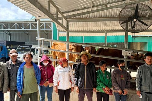 Phan Sơn đổi thay từ những mô hình giảm nghèo