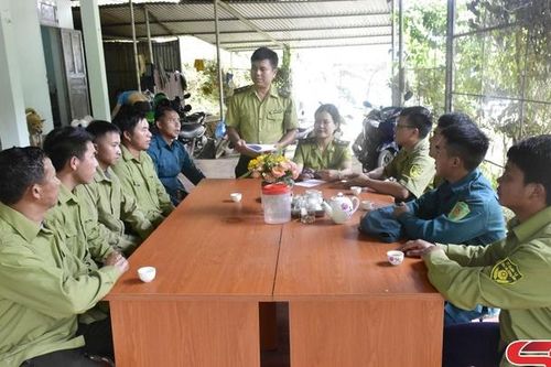 Rừng xanh Suối Tọ