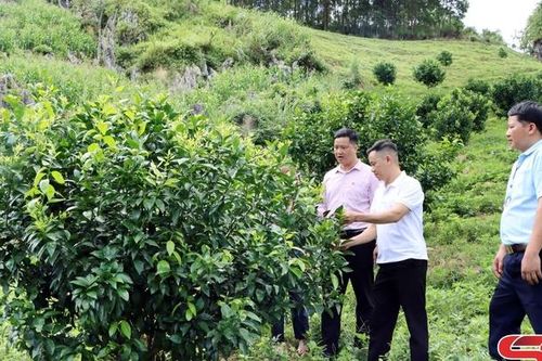 Đưa nguồn vốn chính sách đến với nhân dân