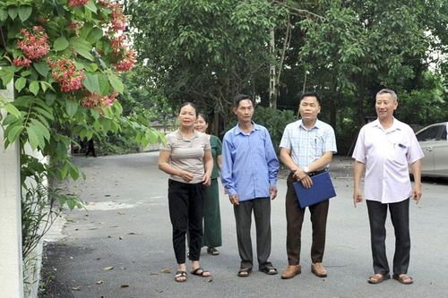 Bóng đại thụ che chở biên cương