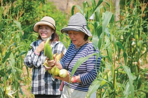 Giữ chân du khách ở Bản Dỗi