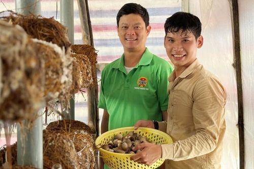 Khởi nghiệp từ rơm