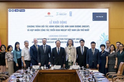 Khởi động Chương trình Đối tác hành động carbon xanh dương: Kích hoạt 'nguồn vốn xanh' từ biển