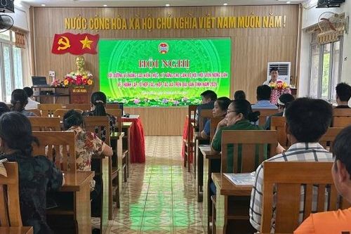 Tập huấn nâng cao kiến thức, kỹ năng thành lập tổ hợp tác, hợp tác xã cho 60 hội viên nông dân xã Thông Nông