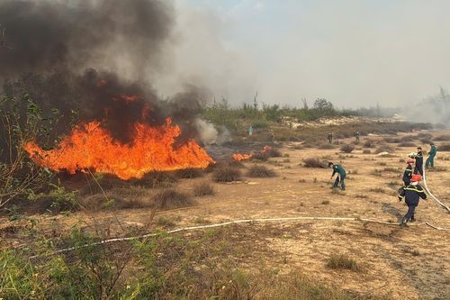 Hơn 100 người chữa cháy rừng ven biển ở Quảng Trị