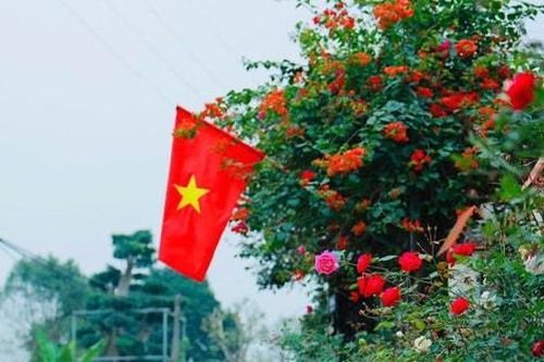 Góp sức, chung tay để xanh ngõ, đẹp làng