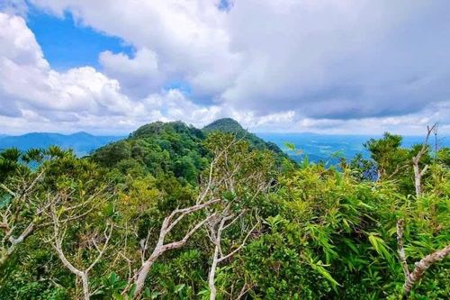 'Báu vật xanh' Kon Ka Kinh chính thức trở thành điểm du lịch
